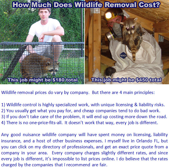 How Much Does Dead Animal Removal Cost?